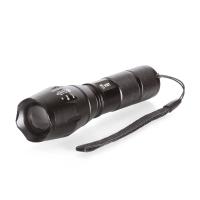 https://techelectro.ru/images/main/tools/flashlights/fl-8012.jpeg